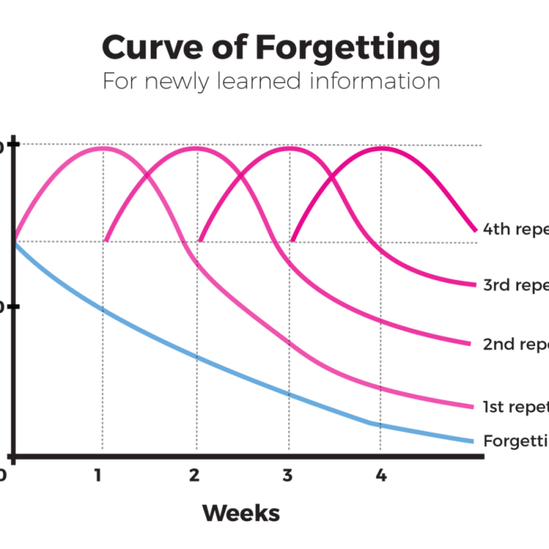 Remember to Remember: What is the Forgetting&nbsp;Curve?