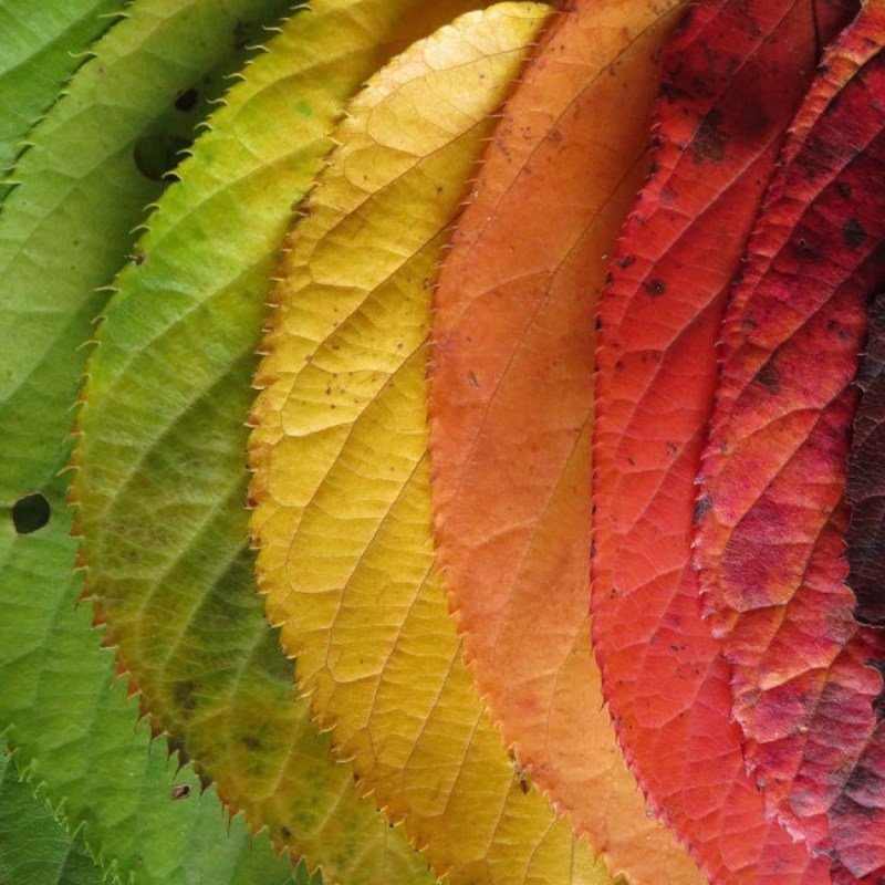 Mapping the Rhythms of Your&nbsp;Year