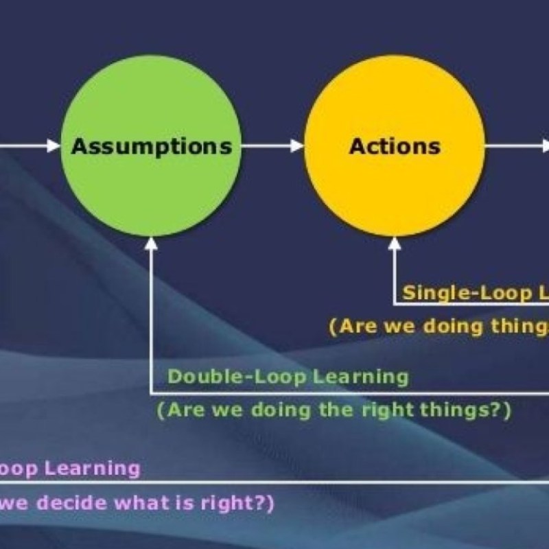 What is Triple Loop&nbsp;Learning?