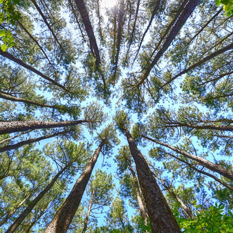 What’s Your “Tiffany&nbsp;Problem”?