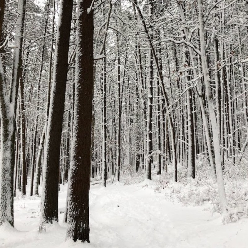 A 10-Minute Atomic Habit for Your “Winter&nbsp;Arc”