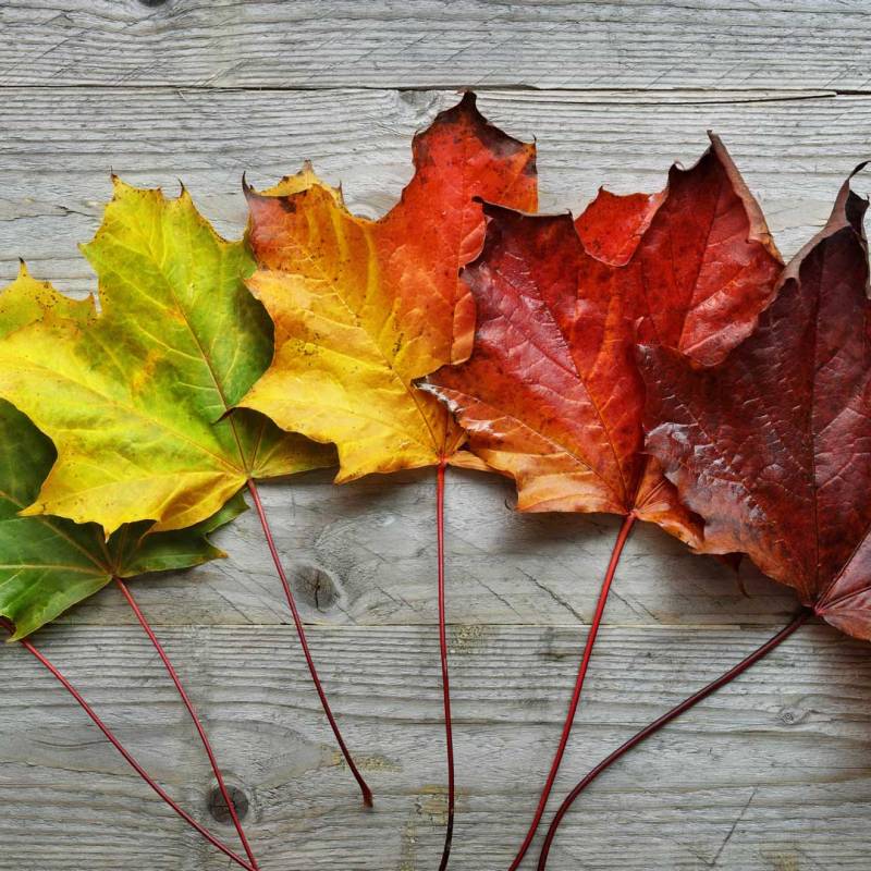 The Times They Are A-Changin’