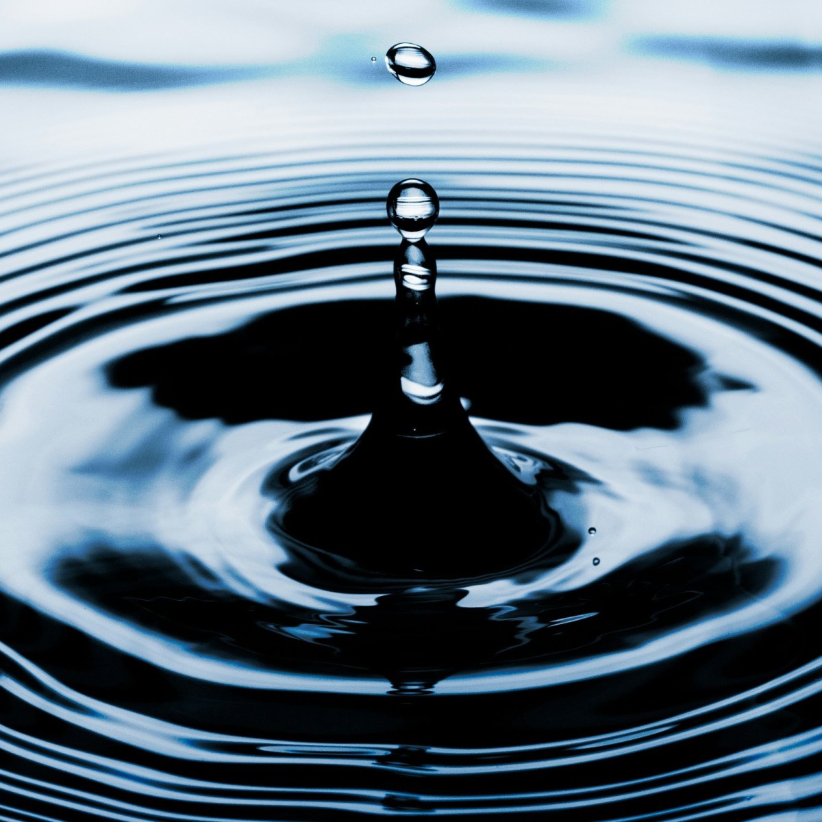 Mapping Out Your Ripple Effect for&nbsp;2026