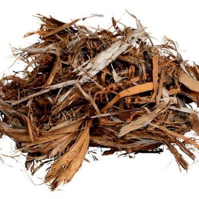 Leading when the World Feels Like a&nbsp;Tinderbox